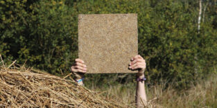 Die Nährbodenplatte „Paluboard“ des Startups Planterial.