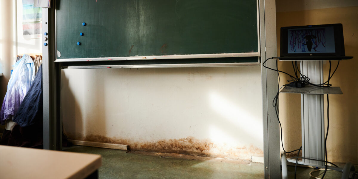 Schimmel in der Schule
