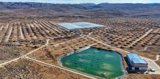 Large High Altitude Air Shower Observatory (LHAASO)