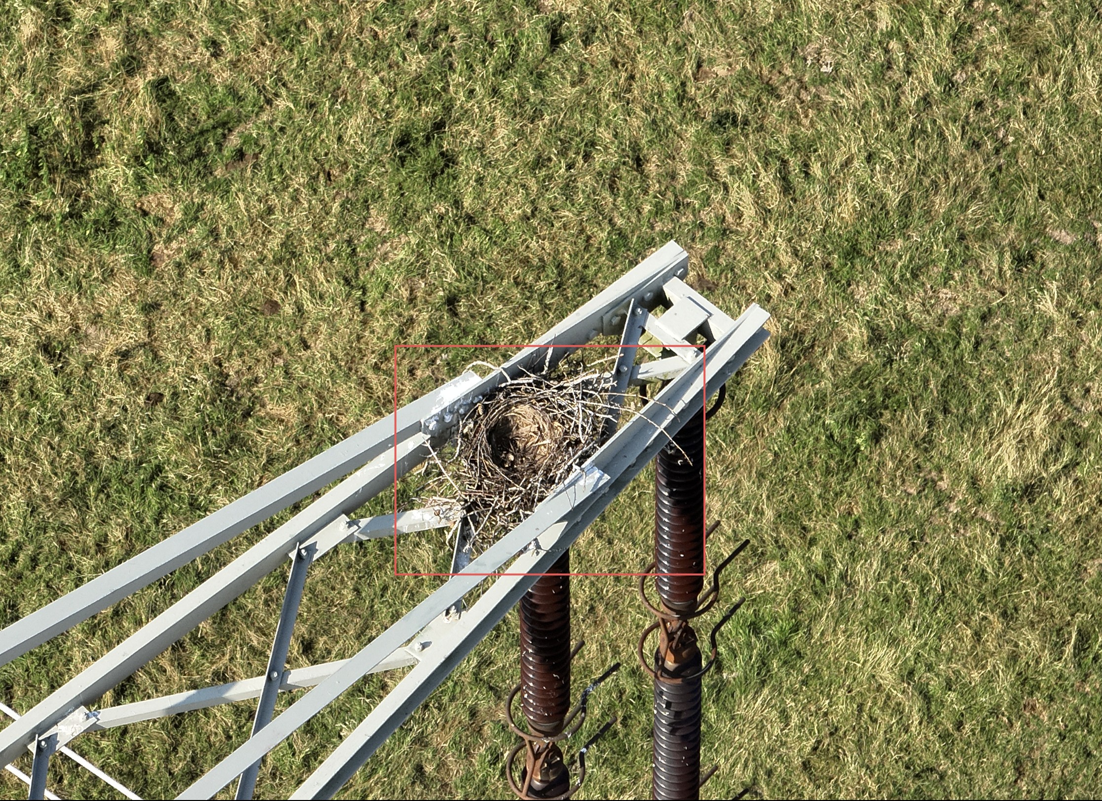 Mittels Künstlicher Intelligenz können Vogelnester auf Freileitungen eigenständig identifiziert werden. Foto: Omexom Deutschland