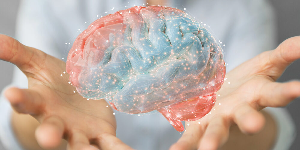 Ein simuliertes Gehirn schwebt in der Luft und zwei Hände versuchen es zu halten.