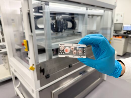 Neue automatisierte In-vitro-Technologien wie Multi-Organ-Chips liefern wertvolle Daten für KI-gestützte Innovationen im Gesundheitswesen. Foto: TissUse GmbH