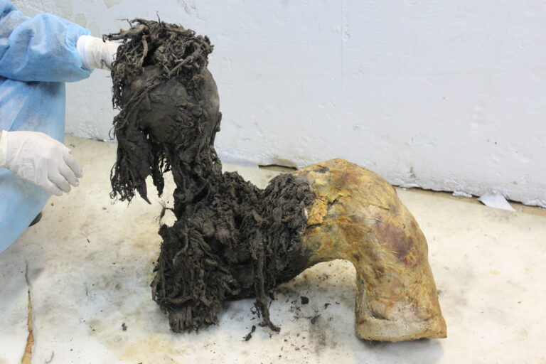 Eines von Yukas Beinen