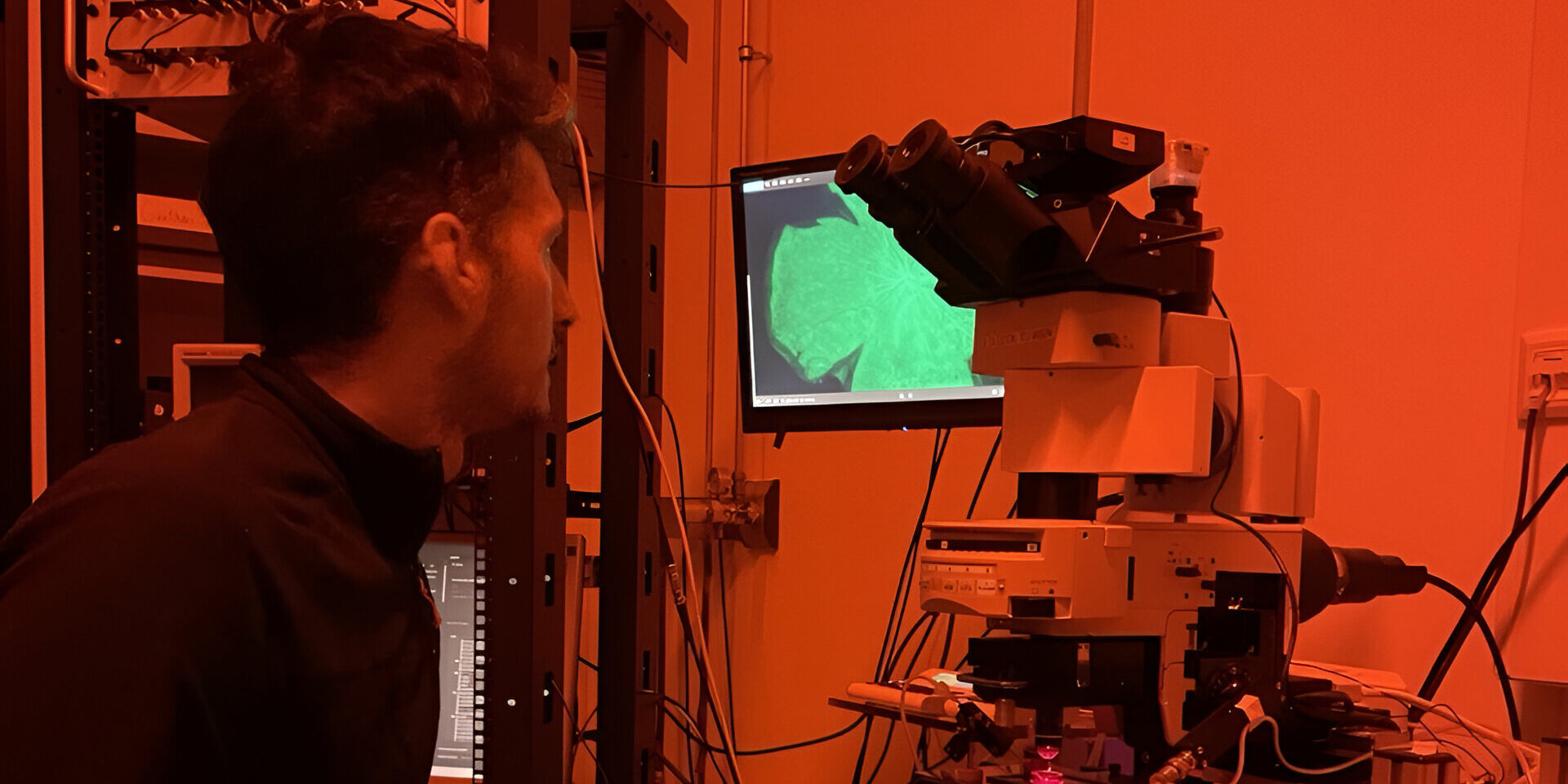 Sehen trotz geschädigter Netzhaut: Solarzellen sollen helfen