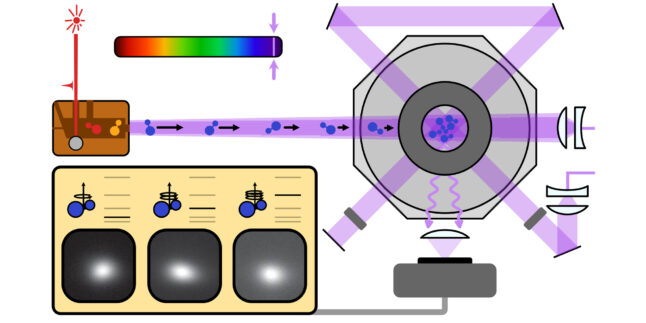 Der experimentelle Aufbau: Magneto-optische Falle zur Laserkühlung von Aluminum Monofluorid (AlF)