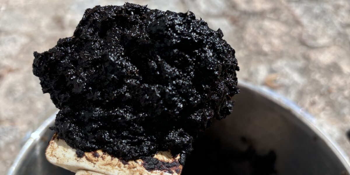 Torfersatz aus dem Labor: ATB Potsdam präsentiert ein nachhaltiges Substrat, das natürliche Moore schützt und Gartenbau zukunftsfähig macht. 
Foto: Marzban/ATB