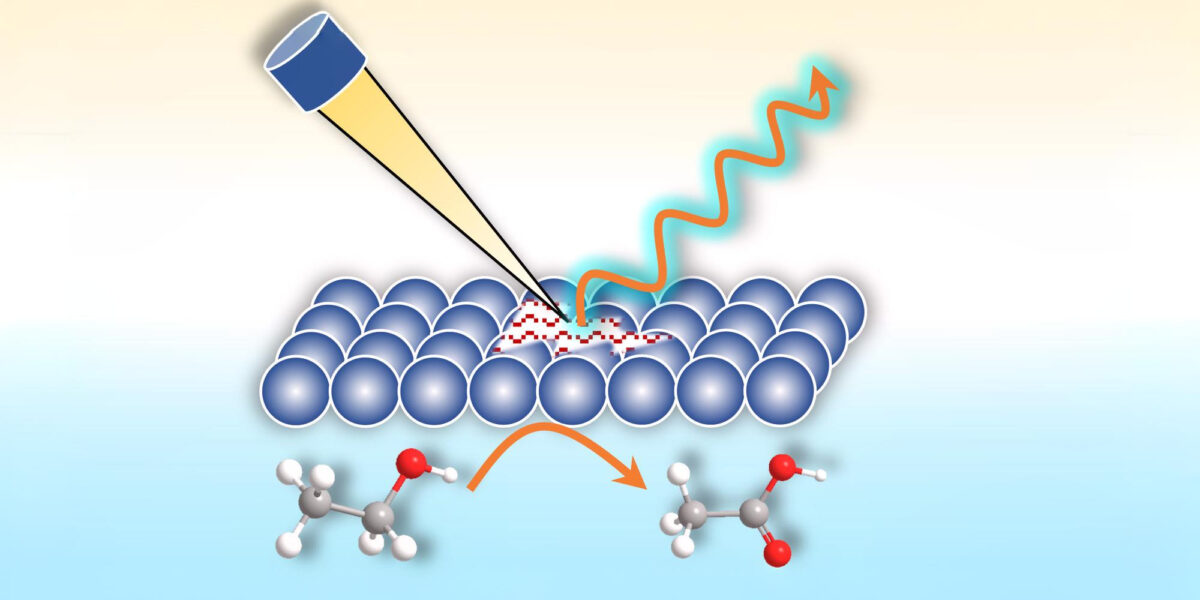 Mit in situ und operando Methoden an Synchrotronquellen können komplexe organische Oxidationsreaktionen in Echtzeit beobachtet und analysiert werden