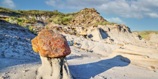 Orangefarbene Flechten im Dinosaur Provincial Park