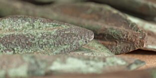 Waffen aus der Bronzezeit