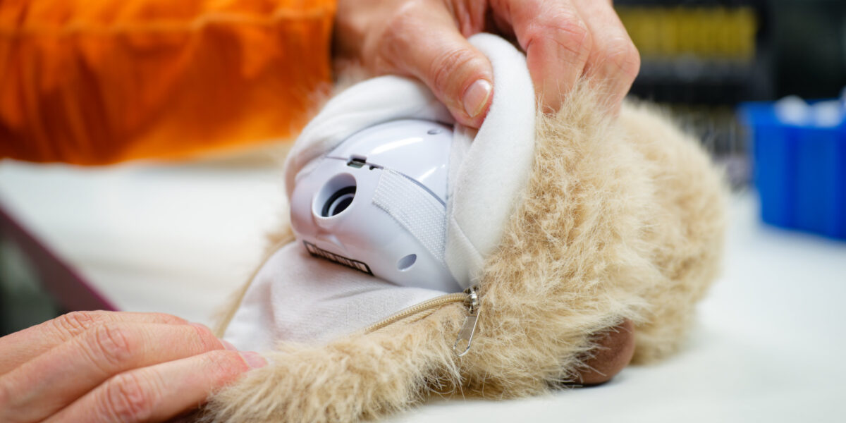 Roboter zum Kuscheln