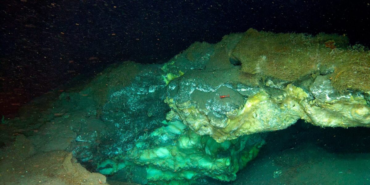 Aufnahme eines teilweise eingestürzten Gashydrat-Hügels im Molloy Deep (Freya-Hügel), wo freiliegende Gashydrate unter der Sedimentdecke sichtbar sind. Foto: UiT / Ocean Census / REV Ocean, <a href="https://creativecommons.org/licenses/by-nd/4.0/deed.de" target="_blank" rel="noopener noreferrer">Creative Commons BY-ND 4.0 (DE)</a>