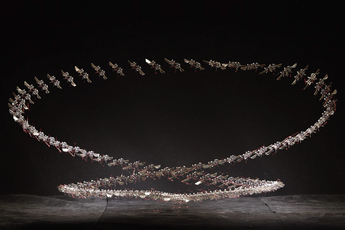 Laut Kevin Chen sind die Miktrorobter in puncto Agilität jetzt mit Insekten gleichauf. Foto: Courtesy of the Soft and Micro Robotics Laboratory