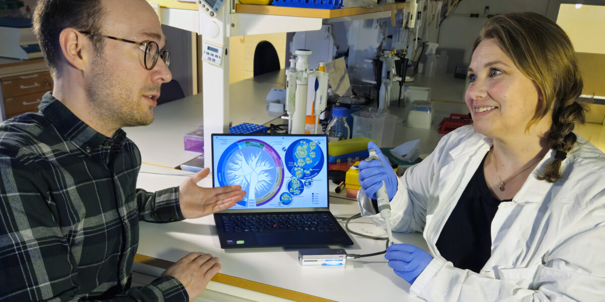 Daniel Svensson und Anna-Mia Johansson werten alte Luftfilter aus