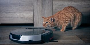Aus die Maus - iRobot, Pionier der Saugroboter und Marke hinter Roomba, hat Insolvenz angemeldet und wird vom chinesischen Auftragsfertiger Picea Robotics übernommen. Foto: PantherMedia / Lightspruch
