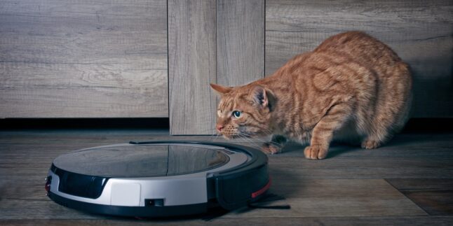 Aus die Maus - iRobot, Pionier der Saugroboter und Marke hinter Roomba, hat Insolvenz angemeldet und wird vom chinesischen Auftragsfertiger Picea Robotics übernommen. Foto: PantherMedia / Lightspruch