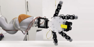 Diese Roboterhand greift, kriecht und trägt zugleich