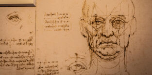 Leonardo Da Vinci Zeichnung