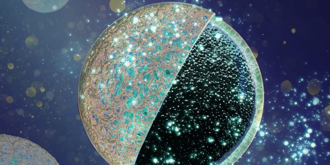 Eine äußere Schutzschicht schirmt den porösen Kern der Kohlenstoffanode gegen unerwünschte Einlagerungen ab. Das erhöht laut der BAM die Leistung. Foto: BAM