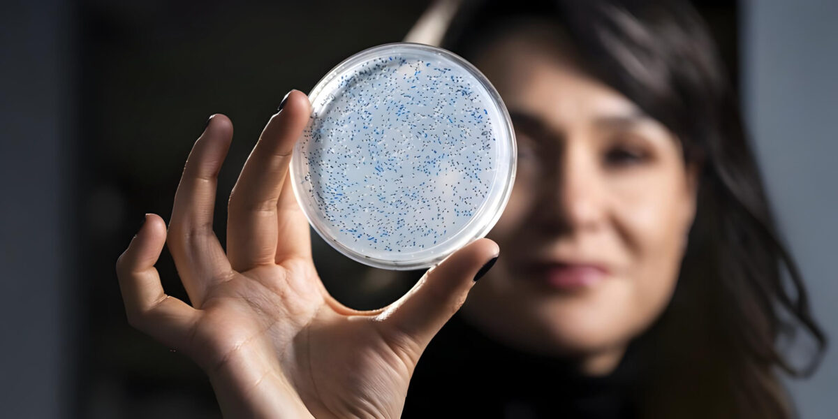 Betül Kaçar zeigt in ihrem Labor Proben aus einem Experiment