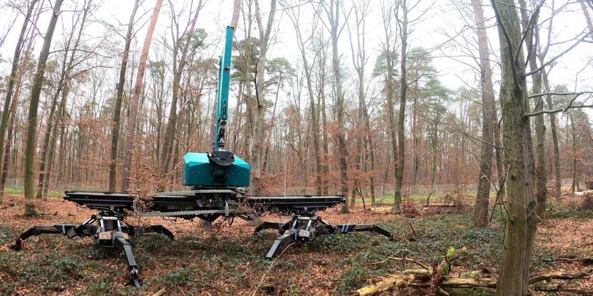 Test bestanden: Der Portal-Harvester belastete den Waldboden nur punktuell, ohne dauerhafte Verdichtungen zu hinterlassen. Foto: KIT/Sebastian Beiser