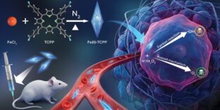 Wissenschaftler der Oregon State University haben ein neues Nanomaterial entwickelt, das in Krebszellen zwei chemische Reaktionen auslöst, wodurch die Zellen durch oxidativen Stress abgetötet werden, während gesundes Gewebe verschont bleibt