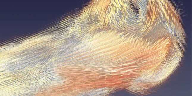 Röntgenaufnahme eine Gehörknochens