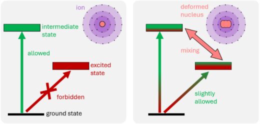 Anders als andere Atome (li.) hat Ytterbium-173 (re.) einen großen Kernspin und einen stark deformierten Kern, dessen starke Felder mit der Elektronenhülle wechselwirken. Dadurch werden verbotene Quantensprünge zu erlaubten Übergängen (s. rotgrüner Pfeil „slightly allowed“). Damit lässt sich der Übergang leichter mit einem Laser anregen. Foto/Grafik: PTB