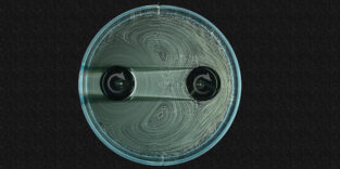 Zwei Spinner in einem kreisförmigen Behälter, umgeben von Flüssigkeit mit Blasen, die helfen, die Strömungen sichtbar zu machen. Der linke Spinner wird aktiv durch einen Motor (nicht abgebildet) angetrieben, während sich der rechte Spinner passiv aufgrund der Strömungen dreht