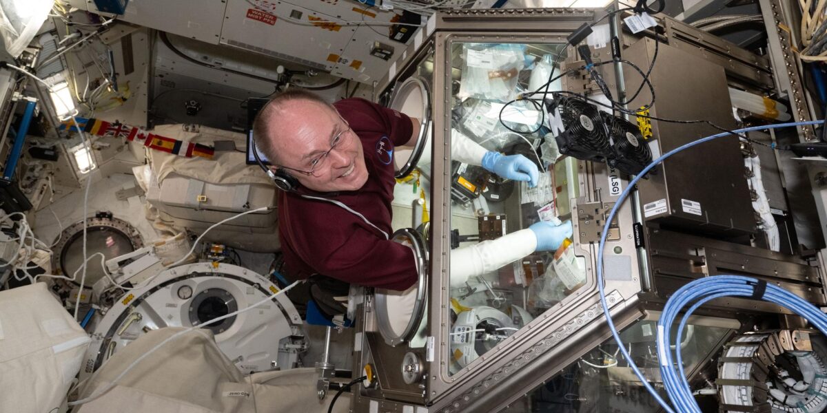 Der Nasa-Astronaut Mike Fincke, aufgenommen während eines Experiments auf der Internationalen Raumstation ISS. Foto: NASA