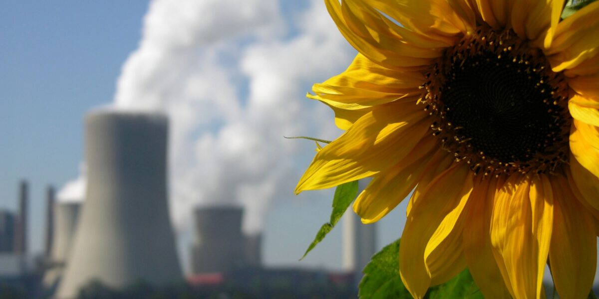 2025 hat die Sonne mehr zum Strommix in Deutschland beigetragen als Braunkohle. Foto: Smarterpix/Schuelli