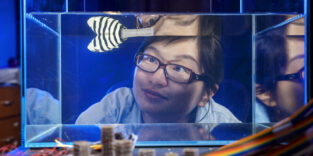 Xiaoyue Ni beobachtet einen Roboterfisch mit einem umprogrammierbaren Schwanz