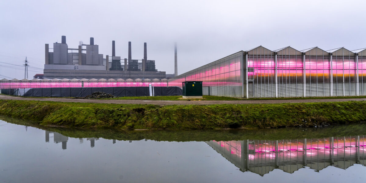 Braunkohle Kraftwerk Neurath, von RWE im Rheinischen Braunkohlerevier, Treibhäuser werden mit Abwärme des Kohlekraftwerk beheizt, auf über 160000 Quadratmeter wachsen Tomaten und Minigurken, künstliche Beleuchtung im Winter, Nebel, NRW, Deutschland,