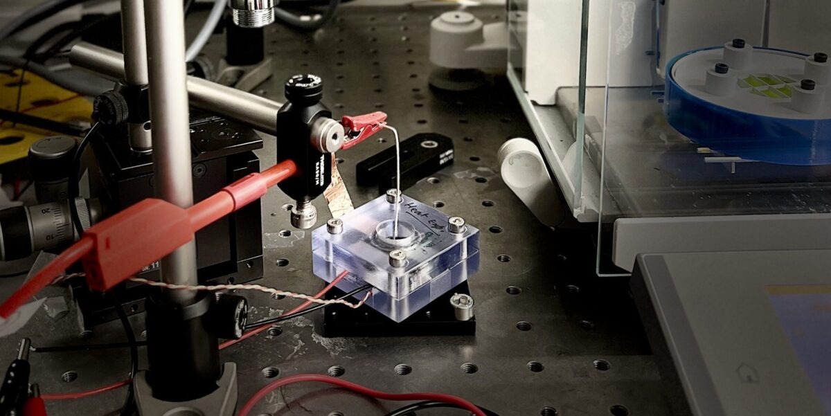 Experimentaufbau am LNET