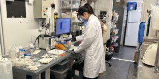 Wei Wei, Doktorandin an der University of Waterloo