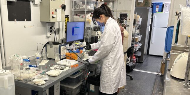 Wei Wei, Doktorandin an der University of Waterloo