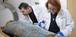 Radiologen untersuchen Mumien im CT