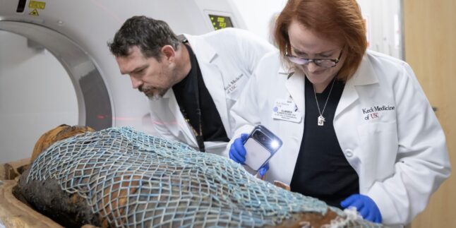 Radiologen untersuchen Mumien im CT