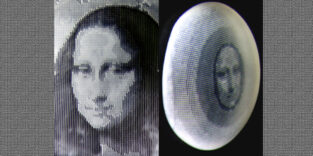 Gedruckte Hydrogel-Haut mit Mona Lisa