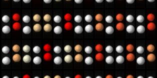 Ein Stop-Motion-Bild, das zeigt, wie Paare von millimetergroßen Kügelchen innerhalb von etwa einer Drittelsekunde einen Zeitkristall bilden