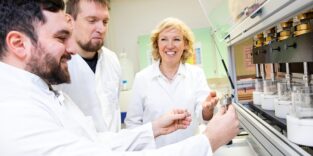 Belastungstest am Kausimulato