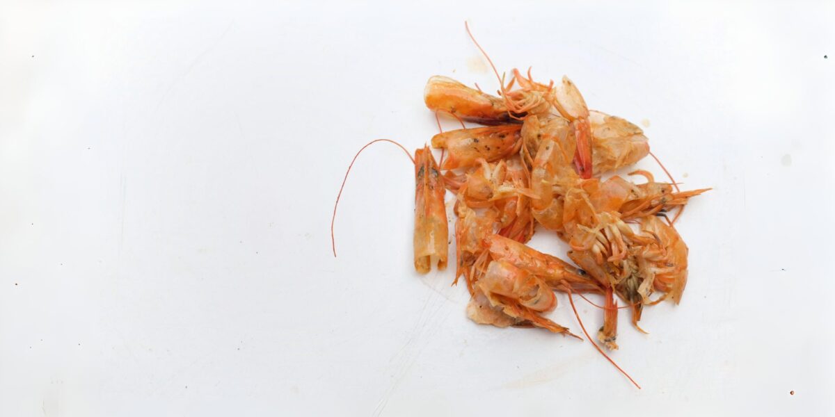Garnelenschalen