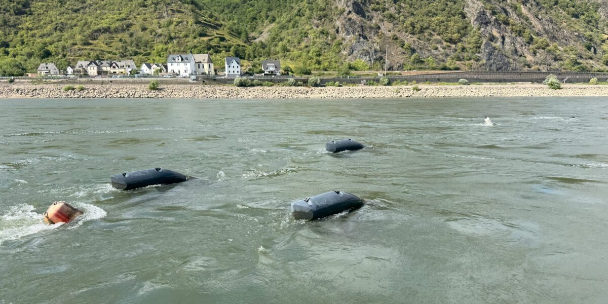 Drei Energyfische schwimmen auf dem Rhein