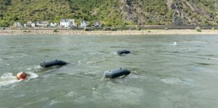 Drei Energyfische schwimmen auf dem Rhein