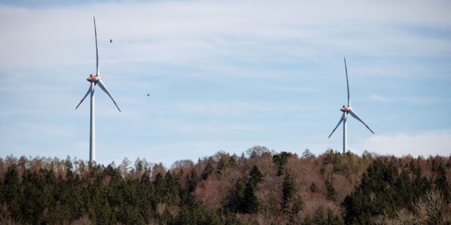 Windräder im Wald