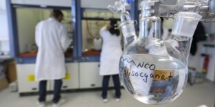 Mitarbeitende arbeiten im Labor