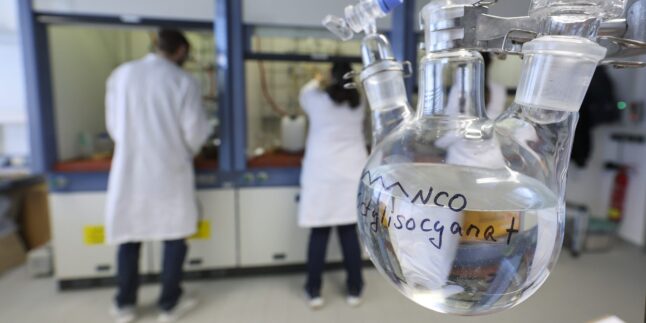 Mitarbeitende arbeiten im Labor