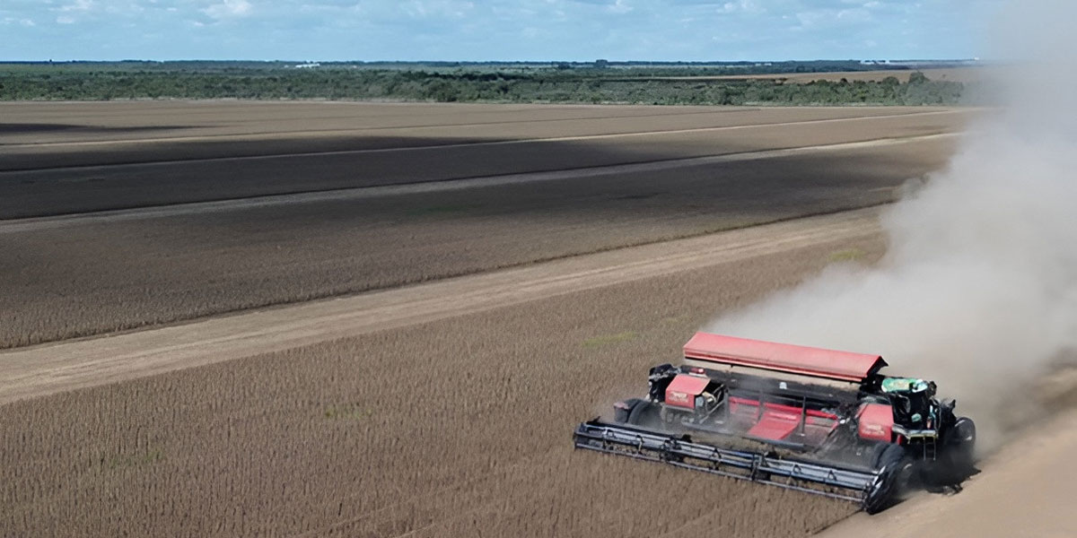 Mähdrescher im Einsatz