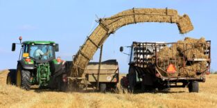 Strohernte auf einem Feld: Eine Erntemaschine lädt gehäckseltes Stroh auf einen Anhänger, im Hintergrund ein Traktor.