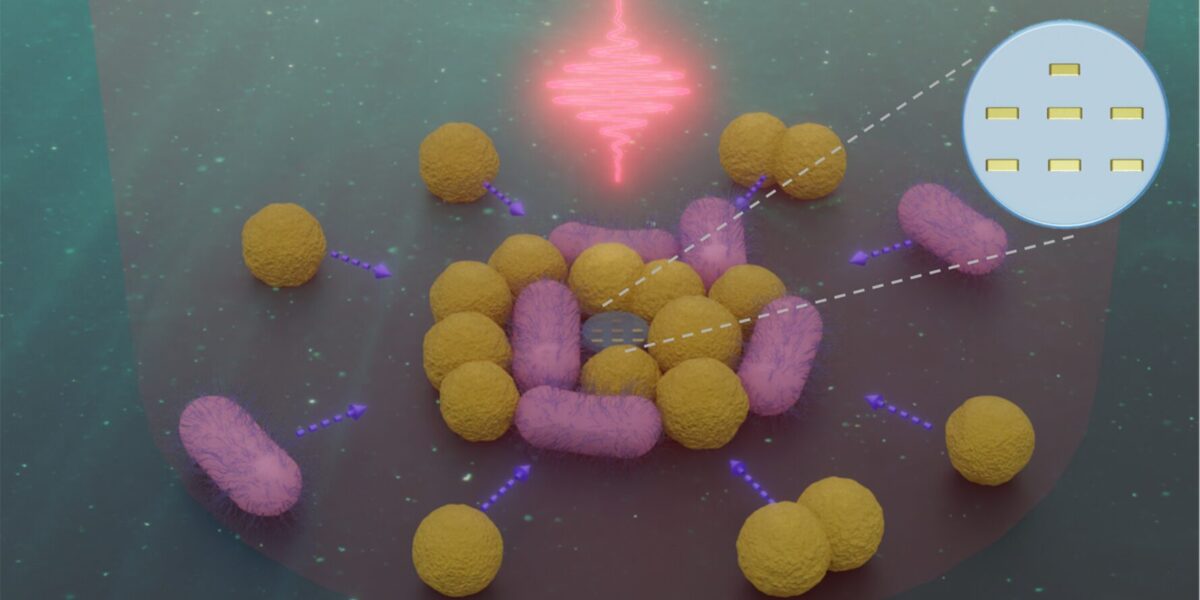 Illustration eines submikrometergroßen Nanoroboters, umgeben von Bakterien zweier Typen. Gestrichelte Pfeile deuten die thermophoretische Anziehungskraft an.