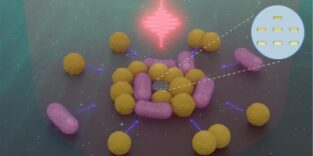 Illustration eines submikrometergroßen Nanoroboters, umgeben von Bakterien zweier Typen. Gestrichelte Pfeile deuten die thermophoretische Anziehungskraft an.